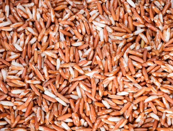 Rice grain background — Stock Photo, Image