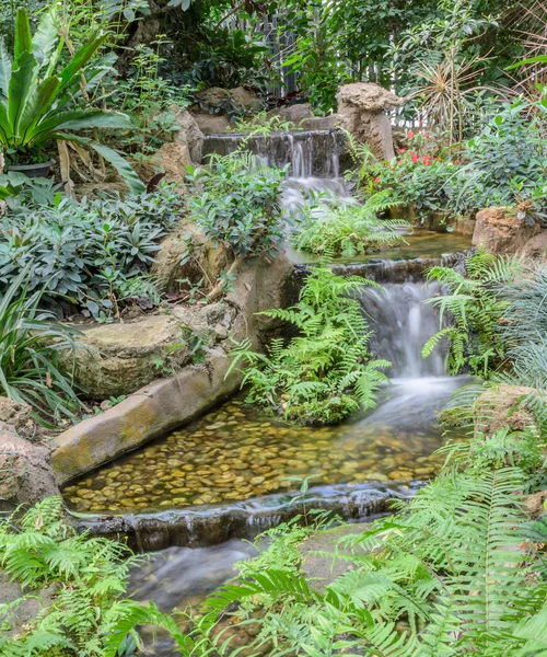 Cascade de jardin parmi les feuillages verts tropicaux — Photo