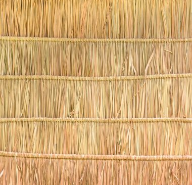 Tropical thatched roof background clipart