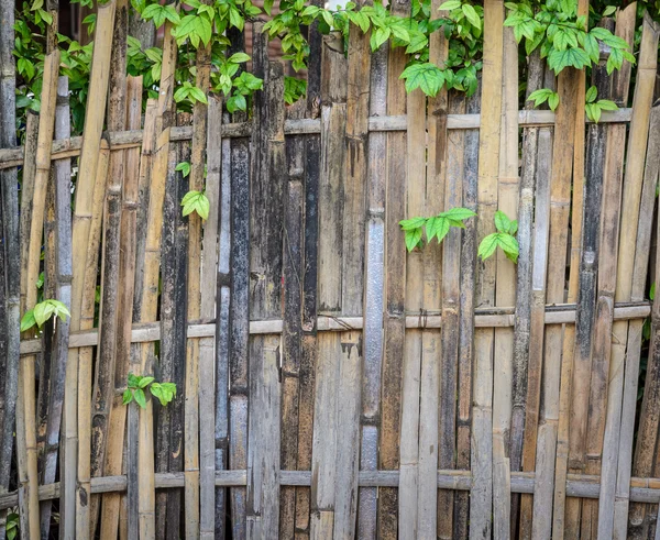 Fond mural en bois de bambou — Photo