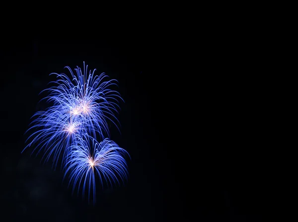 Fuochi d'artificio blu nel cielo nero — Foto Stock