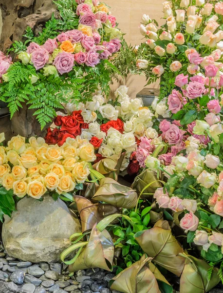 Ornamental rosas jardim de flores — Fotografia de Stock