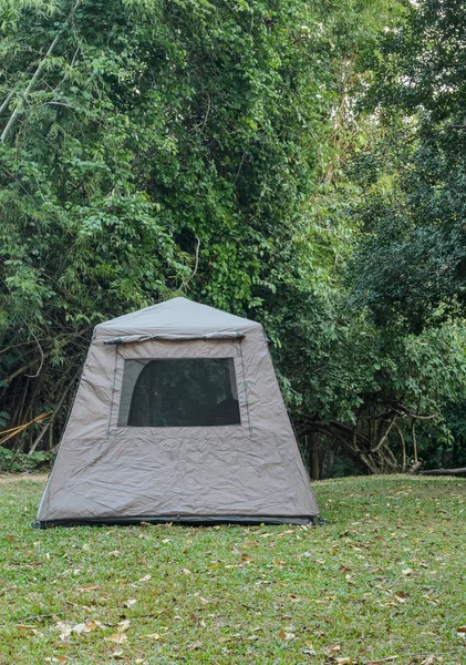 Tropikal yağmur ormanlarında kamp çadırı — Stok fotoğraf