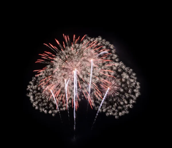 Feux d'artifice colorés dans le ciel noir — Photo