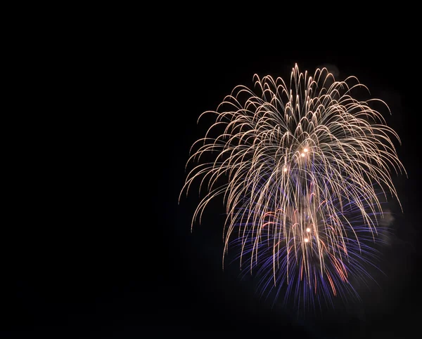 Colorful fireworks in the night sky — Stock Photo, Image