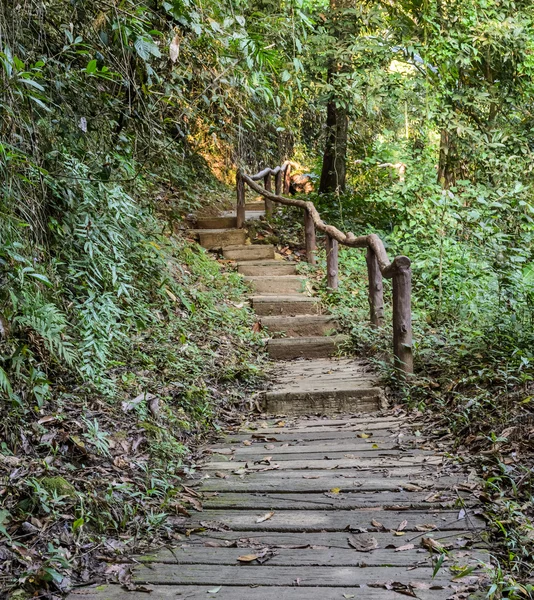 落叶的森林里的楼梯上 — 图库照片