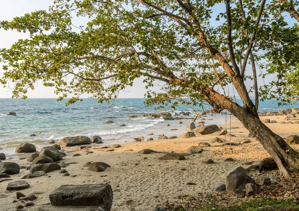 Praia de rocha com balanço de madeira na Tailândia — Fotografia de Stock