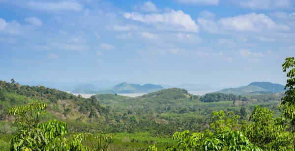 Вид с воздуха на тропические горы с рекой — стоковое фото