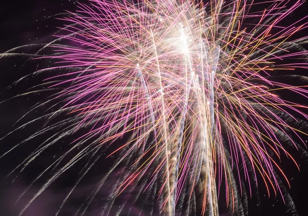 Feuerwerk explodiert am Nachthimmel — Stockfoto