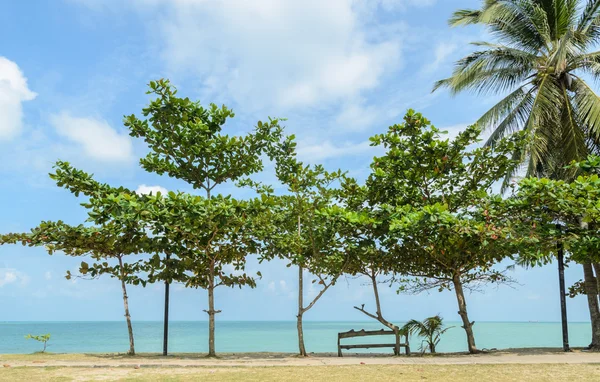 Seascape com amendoeira tropical na praia — Fotografia de Stock