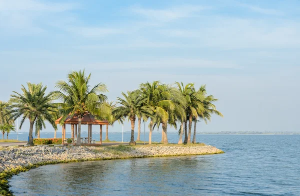 椰子棕榈树，岸上的园景房 — 图库照片