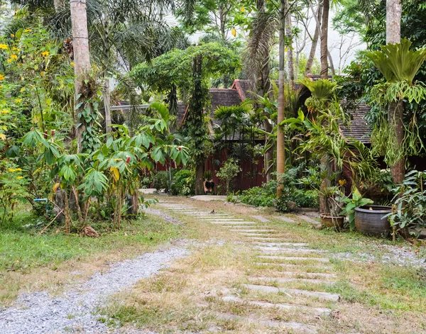 Tropical garden with palm trees — Stock Photo, Image