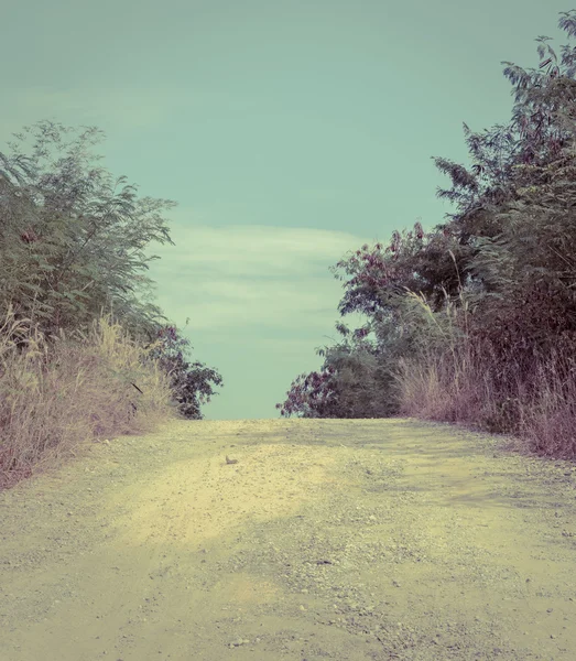 Strada sterrata tra alberi in campagna — Foto Stock