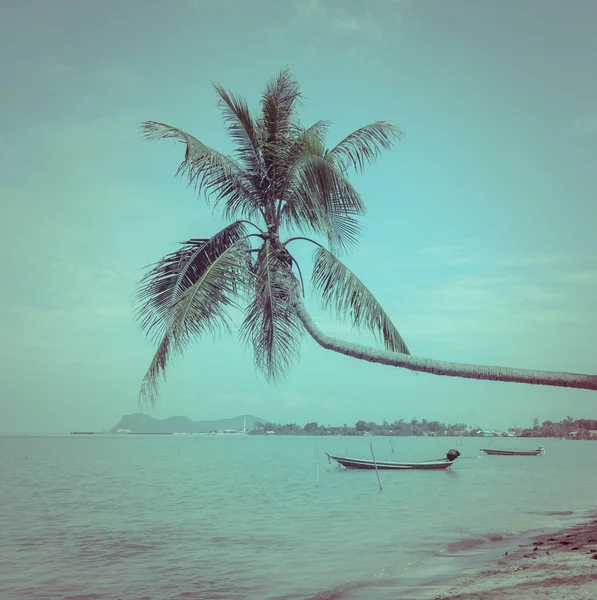 Natuur achtergrond van zee met coconut palm tree in vintage stijl — Stockfoto