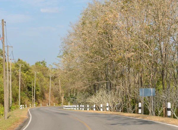 Route courbe d'asphalte avec arbre à feuilles caduques — Photo