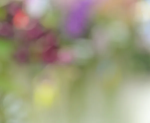 Размытые цветы для фона — стоковое фото