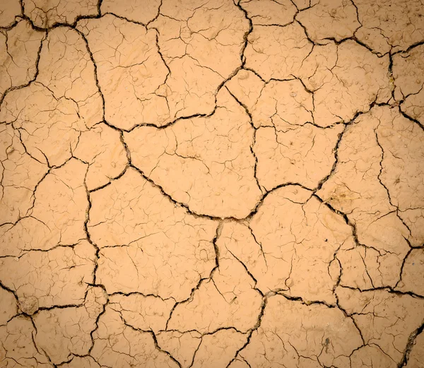 Fundo terra seca — Fotografia de Stock