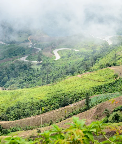 Misty sobre a curva afiada estrada na montanha — Fotografia de Stock