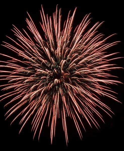 Colorful fireworks in the black sky — Stock Photo, Image