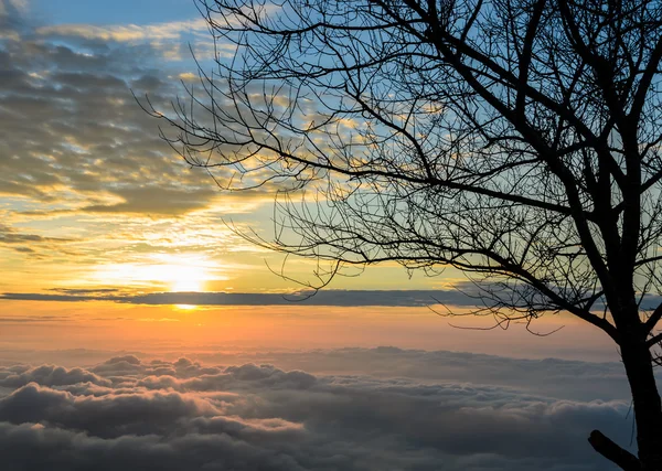 Majestic sunrise with sea of fog — Stock Photo, Image