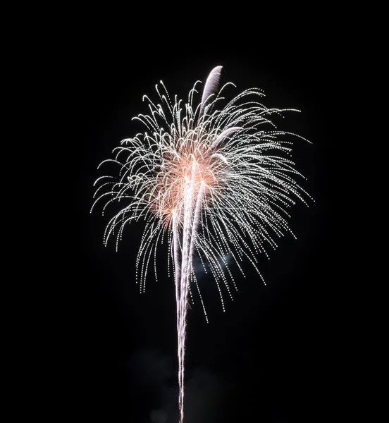 Feuerwerk am schwarzen Himmel — Stockfoto