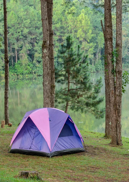 湖の近くのキャンプのテント — ストック写真