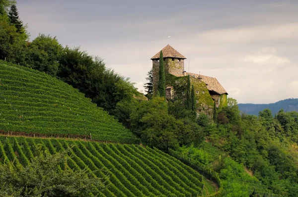 Zamek Warth w Alto Adige — Zdjęcie stockowe