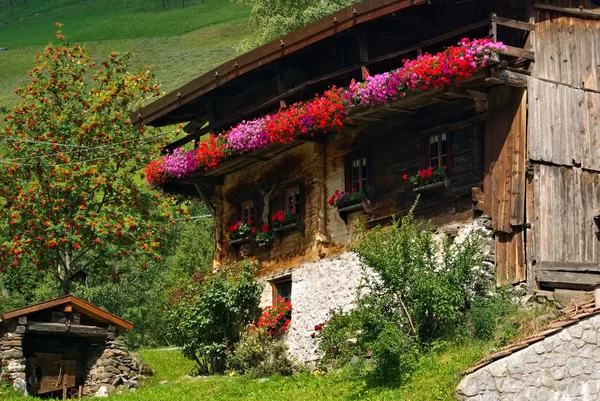 Chalet with flowers — Stock Photo, Image