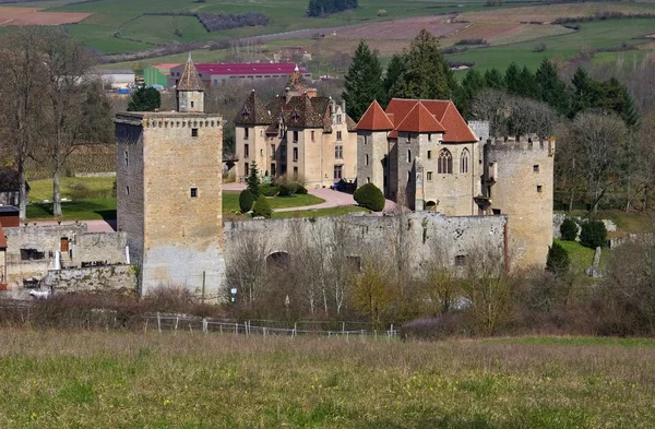 Fransa Chateau kanepe — Stok fotoğraf