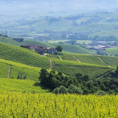 Langhe vineards ve köyleri 
