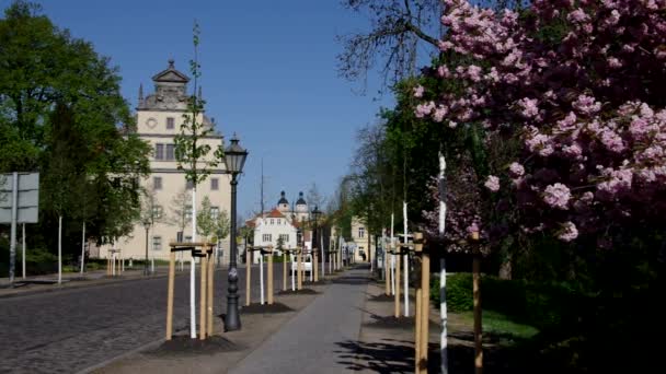 Wittenberg, calles en el casco antiguo — Vídeo de stock