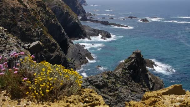 Cabo Sardao, divoké pobřeží Atlantského oceánu — Stock video