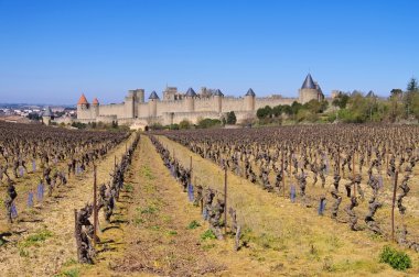 Carcassonne kale ve bağ, Fransa