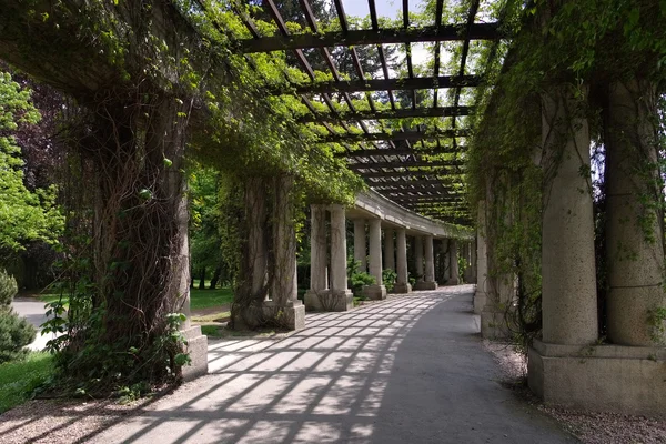 Breslauer Peergola im Park — Stockfoto