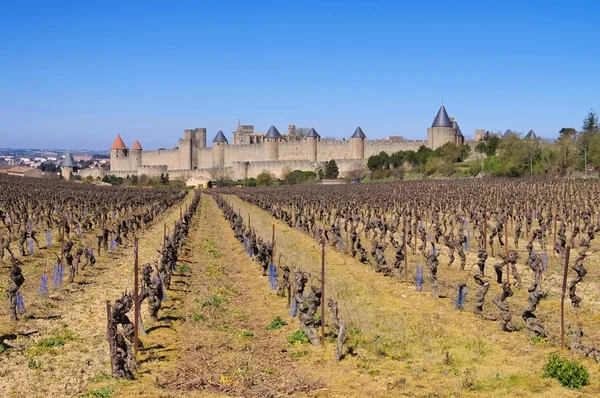 Kasteel van Carcassonne en wijngaard, Frankrijk — Stockfoto