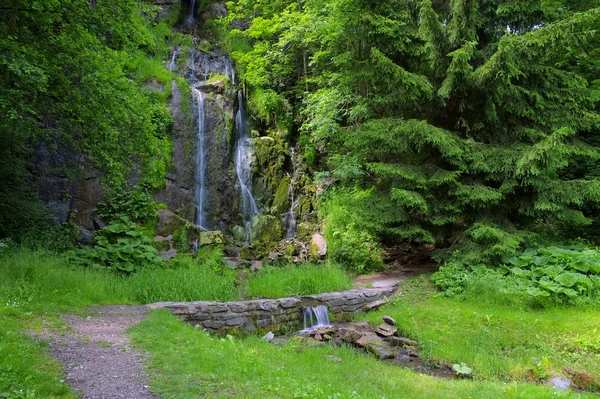 Koenigshuetter şelale Harz içinde — Stok fotoğraf