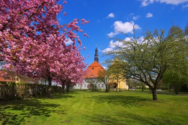 Castillo de Luebben en primavera —  Fotos de Stock