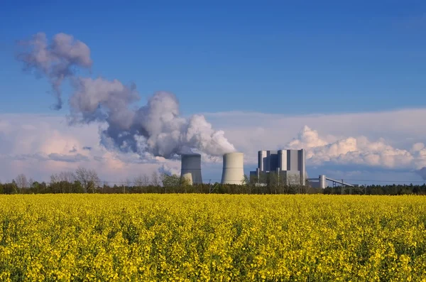 Power plant and rape field Stock Photo