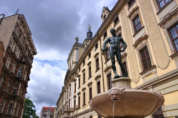 Breslavia, l'università e la spada bene — Foto Stock