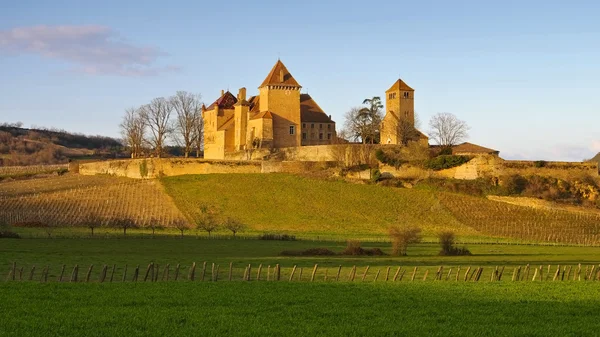 Chateau pierreclos in Frankreich — Stockfoto