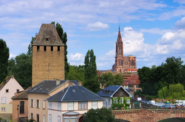 Strazburg Katedrali'ne Alsace'deki / daki — Stok fotoğraf