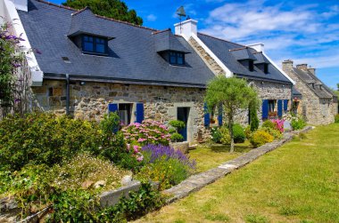 tipik eski ev ve ortanca çiçeği İngiltere, Fransa 'da