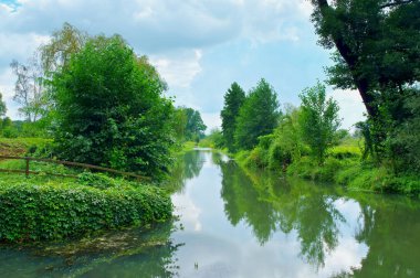 Yazın Spree Ormanı, Brandenburg
