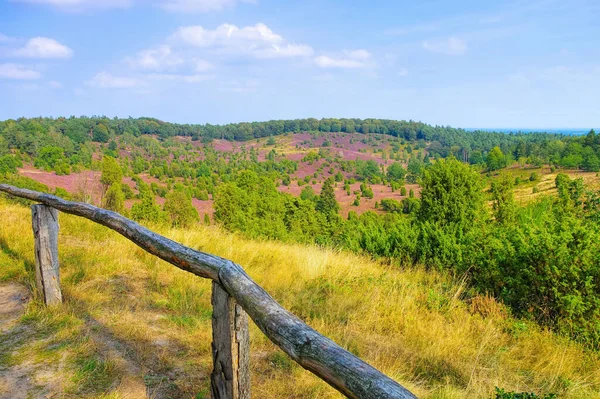 Krajobraz Zwany Totengrund Lueneburg Heath Jesienią Pobliżu Wilsede — Zdjęcie stockowe