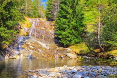Maggia Vadisi 'nde şelale, İsviçre' de Ticino, Avrupa