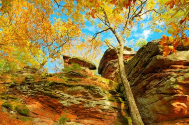 rock in Palatinate Forest in autumn, Germany clipart