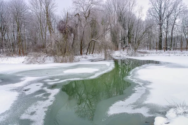 Spreeforest Nel Freddo Inverno Brandeburgo — Foto Stock