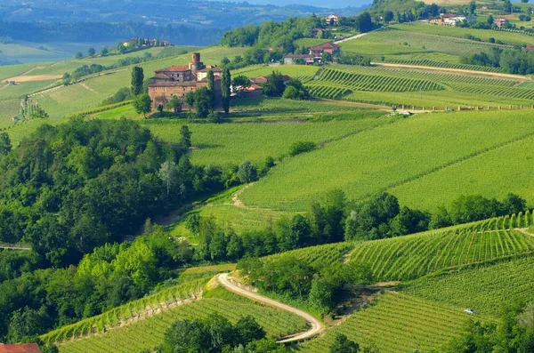 Barolo Castello di La Volta — Stockfoto