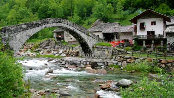 Fondo dans les Alpes — Video