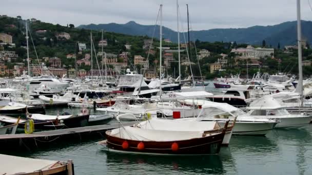 Santa Margherita Ligure harbour — Stock Video